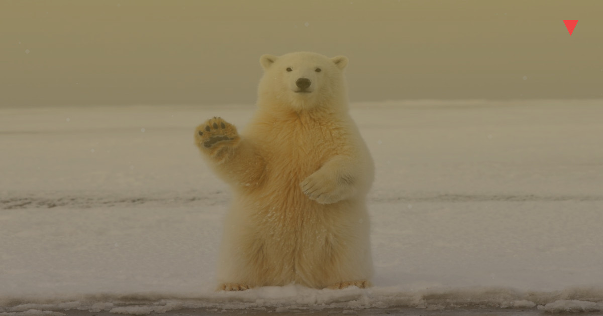 29 Mart 2026 Gram Altın Fiyatı - Güncel Analiz