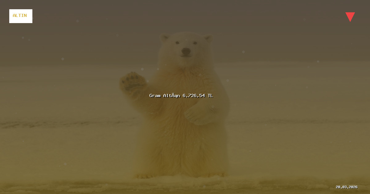 Gram Altın 6.726,54 TL