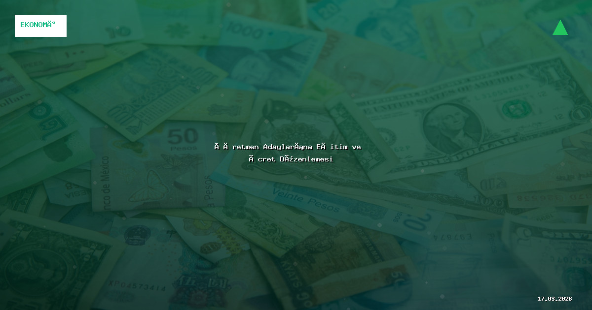 Öğretmen Adaylarına Eğitim ve Ücret Düzenlemesi